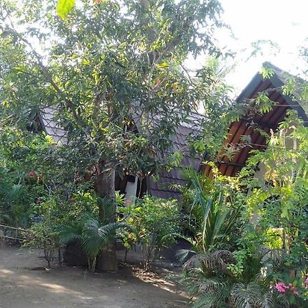 Hello Lumbung Homestay Gili Air Exteriör bild