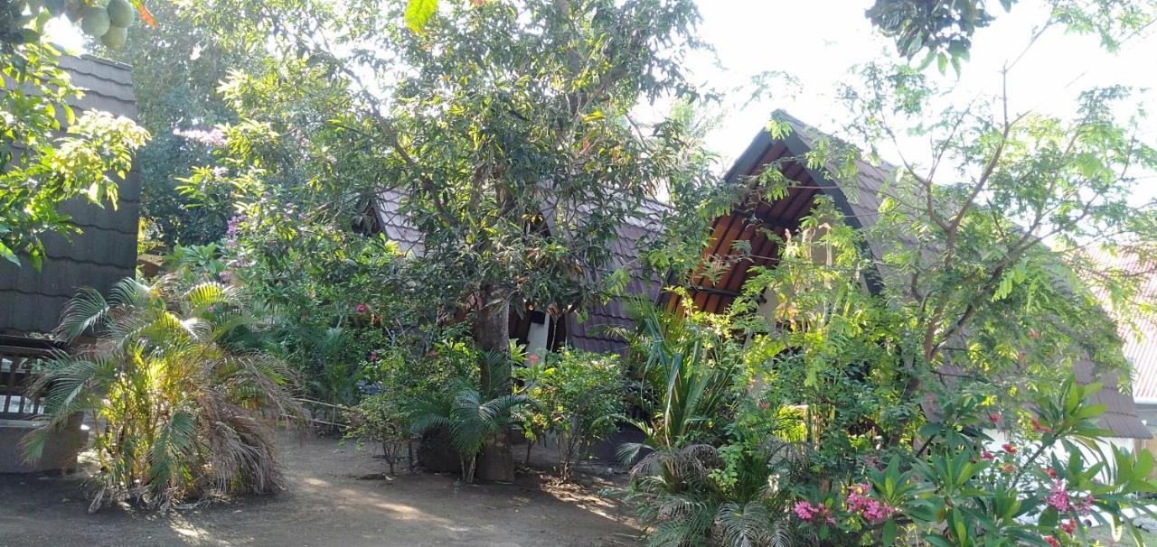 Hello Lumbung Homestay Gili Air Exteriör bild